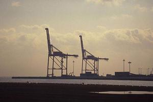 日本全国に対応ができる会社です