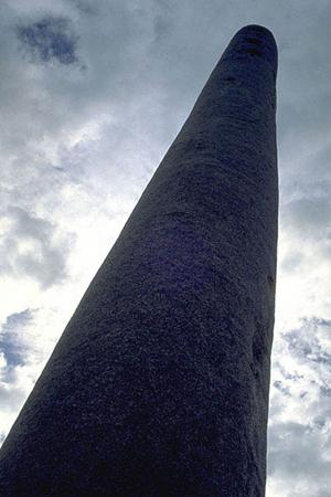 プレートコンパクターを選べるショップをお探しなら